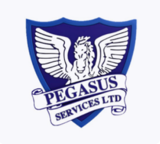 pegasus_big.png